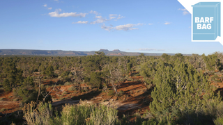 In an Unprecedented Move, Trump Massively Downsizes Two National Monuments